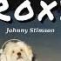 Vietsub Roxy Johnny Stimson Lyrics Video