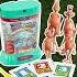 Remember The Sea Monkey Kits Nostalgia