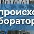 Лабораторные испытания грунтов Инженерно геологические изыскания