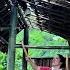 Kind Engineer Helps Deaf Mute Single Mother Build Bamboo Chicken Coop Ly Nhi Ca