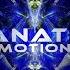 Fanatic Emotions Mix Collection TRANCE TRAXX