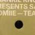 Frankie Knuckles Presents Satoshi Tomiie Tears Full Intention Mix