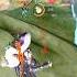 Straight To Hell Callofdutymobileclips Codmclips Codmobile Codm Callofdutymobile CODM Codmbr