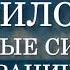 Правило 35 Звуковые сигналы при ограниченной видимости МППСС 72