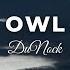 DuNock Owl Atmospheric Meditation Instrumental