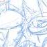 Basics In Behavior Metal Cover WIP