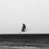 Quiet And Cold Tim Bruns Brother Bird