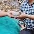 Single Girl Surprised By Kind Engineer Who Gave Her Plastic Net To Fence Chicken Garden Duck