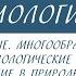 7 класс Биология Тип кишечнополостные Многообразие Среда обитания образ жизни Особенности