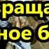 Население у нас превращается в опасное быдло Земля холодильная камера Защиту даёт молитва