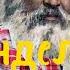 Менделеев и раствор часть 2