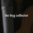 Haley Heynderickx The Bug Collector Tiny Desk Contest 2017