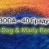 LOBODA 40 Градусов Ko Dog Marly Remix