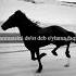 Doʻstni Doʻst Ekanligini Ishing Tushsa Bilarsan