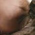 The Baby And The Cat Fart