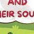 Birds Name And Sound Learn Birds Names Learning Video For Kids Kartoon Kidz Klub