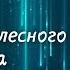 Миры внетелесного опыта Прямой эфир с Андреем ЩЕРБАКОВЫМ 9 августа в 19 00 МСК