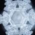 Water Has Memory Dr Masaru Emoto S Water Experiment