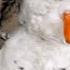 Soviet Snowman Funny Comedy Memes