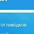 Заседание правительства 15 ноября 2024 года