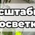 Растениям НЕ ХВАТАЕТ СВЕТА Зимой Вот что их спасет