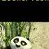 THE REASON WHY MY PANDA MEME IS POPULAR Check Description