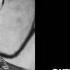 Defected In The House Radio Show Guest Mix By Joeski 17 03 17