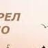 АУДИОКНИГА детектив Донна Леон Выстрел в лицо