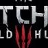 WITCHER 3 Hearts Of Stone The Olgierd Von Everec Duel Death March