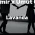 Javid Amir X Umut Capone Lavanda Sözləri Lycris