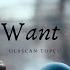 Ulaşcan Topçu I Want It Original Mix