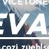 Nevada Lyrics Vicetone Feat Cozi Zuehlsdorff Slowed Reverb