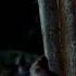 Season 3 Smart Walker The Walking Dead Shorts