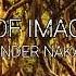 Woods Of Imagination By Alexander Nakarada Adventure Music Fantasy Music Cinematic Celtic
