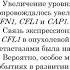 Коэкспрессия мРНК SNAI1 И RND3 И мРНК белков цитоскелета при плоскоклеточном раке гортани