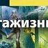 Аудиокнига Пикник на обочине Братья Стругацкие