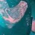 рок н ролл простит мне всё NEVERLOVE Neverlove неверлав рокнроллпроститмневсе