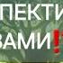 Какими она видит перспективы с вами Расклад таро для мужчин