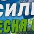 Очень сильная песня о любви Ему бы петь на ТВ Красивый голос