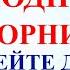 22 октября Яков День Что нельзя делать 22 октября Яков день Народные традиции и приметы