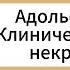 Фромм Эрих Адольф Гитлер Клинический случай некрофилии Аудиокнига