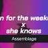 Hymn For The Weekend X She Knows Slowed Reverb For A Better Experience