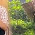 Back Home Single Mother Surprised To Receive News That The Owner Sold The Land To Someone Else