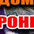 1300 гривень штрафу за РЕМОНТ АВТОМОБІЛЯ свмому ДОМА