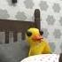 When I M Home Alone And Hear A Strange Noise Humor Ducky Shorts