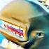 Crazy GOAT Feeds A Whale To The SEA MONSTER Goat Simulator 3