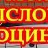 Вечно молодой вечно пьяный Аккорды Смысловые галлюцинации Разбор на гитаре Табы Текст