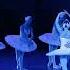 Лебединое озеро Swan Lake