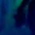Thunderclan VS Riverclan
