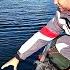 ТОЛЬКО РАССТАВИЛ ЖЕРЛИЦЫ И ПОНЕСЛОСЬ КРУПНЫЕ ЩУКИ НА СПИННИНГ Рыбалка осенью скоро первый лёд